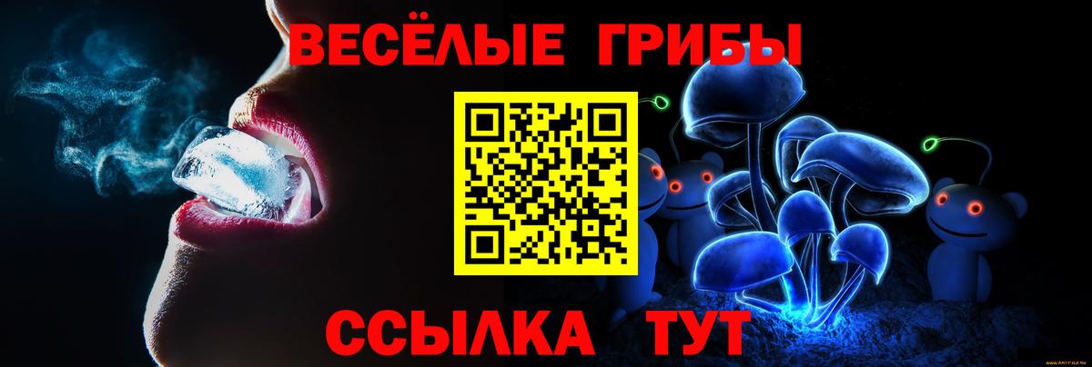 Псилоцибиновые грибы Psilocybine cubensis Советск